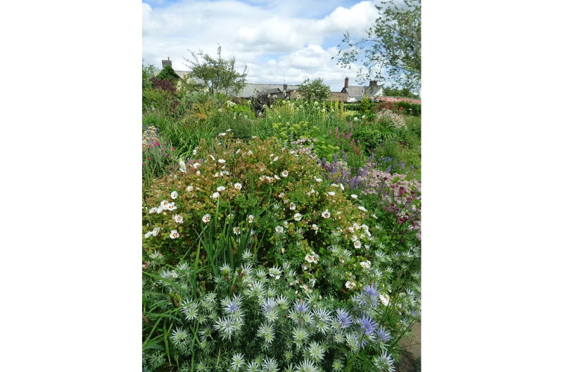 Clun Gardens Open Weekend 2025