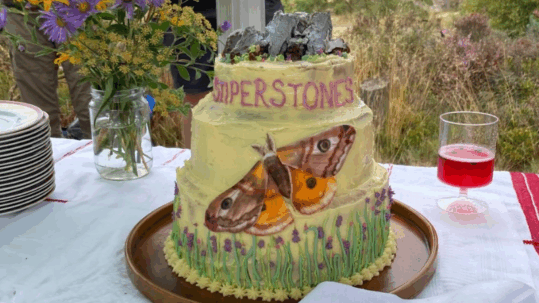 Shropshire's Stiperstones becomes England's latest national nature reserve